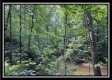 Lot 8 at Perry Ridge property photo
