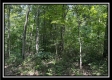 Lot 8 at Perry Ridge property photo