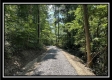 Lot 8 at Perry Ridge property photo