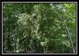 Lot 8 at Perry Ridge property photo