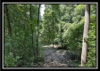 Lot 8 at Perry Ridge property photo