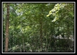 Lot 8 at Perry Ridge property photo