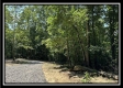 More of Lot 8 at Perry Ridge