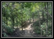 More of Lot 8 at Perry Ridge