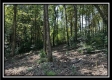 Black Diamond Cabin at Perry Ridge property photo