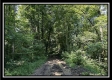 Black Diamond Cabin at Perry Ridge property photo