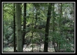 Black Diamond Cabin at Perry Ridge property photo