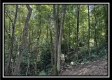 Black Diamond Cabin at Perry Ridge property photo