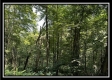 Black Diamond Cabin at Perry Ridge property photo