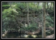 Black Diamond Cabin at Perry Ridge property photo