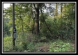 Lot 1 at Perry Ridge property photo