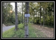 Lot 1 at Perry Ridge property photo