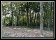 Lot 1 at Perry Ridge property photo