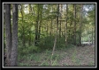 Lot 1 at Perry Ridge property photo