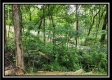 More of Lot 1 at Perry Ridge