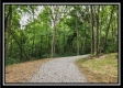 More of Lot 1 at Perry Ridge