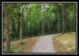 Lot 1 at Perry Ridge property photo