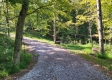 Tract 4 – Bobcat Cabin at The Woods at Winner Lane property photo