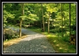 Tract 4 – Bobcat Cabin at The Woods at Winner Lane property photo