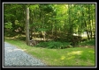 Tract 4 – Bobcat Cabin at The Woods at Winner Lane property photo