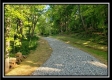Tract 4 – Bobcat Cabin at The Woods at Winner Lane property photo