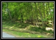 Tract 4 – Bobcat Cabin at The Woods at Winner Lane property photo