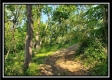 Tract 4 – Bobcat Cabin at The Woods at Winner Lane property photo