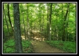 Tract 4 – Bobcat Cabin at The Woods at Winner Lane property photo
