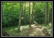 Tract 4 – Bobcat Cabin at The Woods at Winner Lane property photo