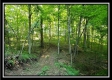 Tract 4 – Bobcat Cabin at The Woods at Winner Lane property photo