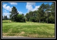 Tract 8 at Walnut Meadows property photo