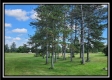 Tract 8 at Walnut Meadows property photo