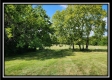 Tract 8 at Walnut Meadows property photo