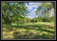 Tract 7 at Walnut Meadows property photo