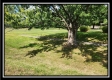 Tract 7 at Walnut Meadows property photo