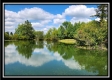 Tract 7 at Walnut Meadows property photo