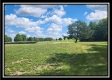 Tract 7 at Walnut Meadows property photo