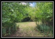 Tract 7 at Walnut Meadows property photo