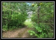 Tract 7 at Walnut Meadows property photo