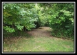 Tract 7 at Walnut Meadows property photo
