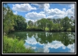 Tract 7 at Walnut Meadows property photo