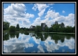 Tract 7 at Walnut Meadows property photo