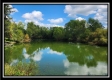 Tract 7 at Walnut Meadows property photo