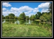 Tract 7 at Walnut Meadows property photo