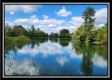 Tract 7 at Walnut Meadows property photo