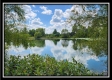 Tract 7 at Walnut Meadows property photo