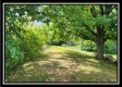 Tract 7 at Walnut Meadows property photo