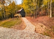 More of Hawk’s View Cabin 