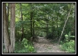 Tract A at Perry Ridge property photo