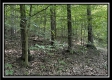 Tract A at Perry Ridge property photo